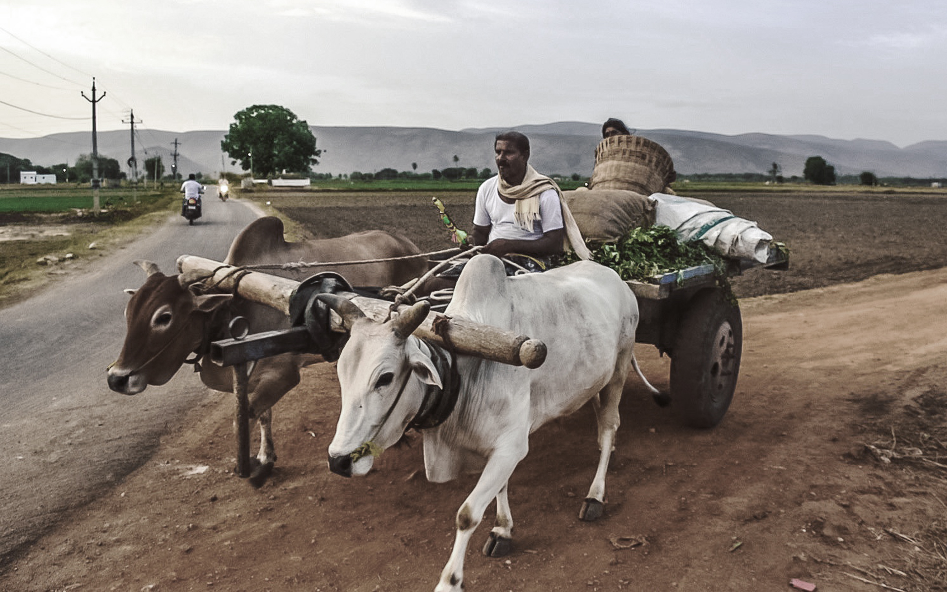 Baṇḍi Rasūl Khān